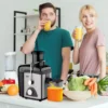 imgi_6_XjUhh1z9PbjG4PSEyPCrqktMHEH3AvOC4CDLhASq Extracteur de Jus RAF 800W
